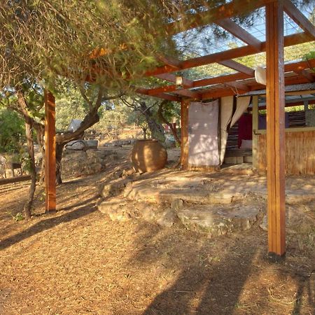 Back To Nature Camping & Huts Ξενοδοχείο Mikhmannim Εξωτερικό φωτογραφία