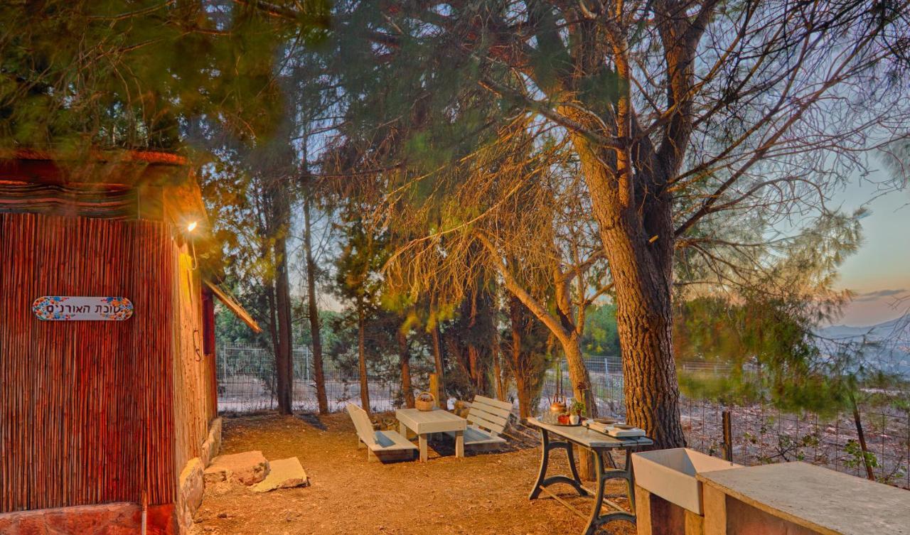 Back To Nature Camping & Huts Ξενοδοχείο Mikhmannim Εξωτερικό φωτογραφία