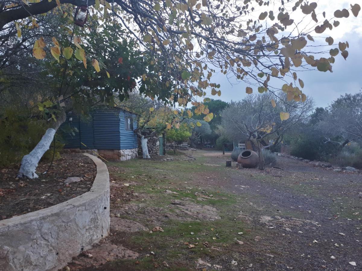 Back To Nature Camping & Huts Ξενοδοχείο Mikhmannim Εξωτερικό φωτογραφία