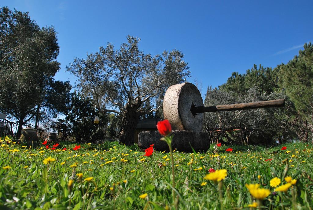 Back To Nature Camping & Huts Ξενοδοχείο Mikhmannim Εξωτερικό φωτογραφία