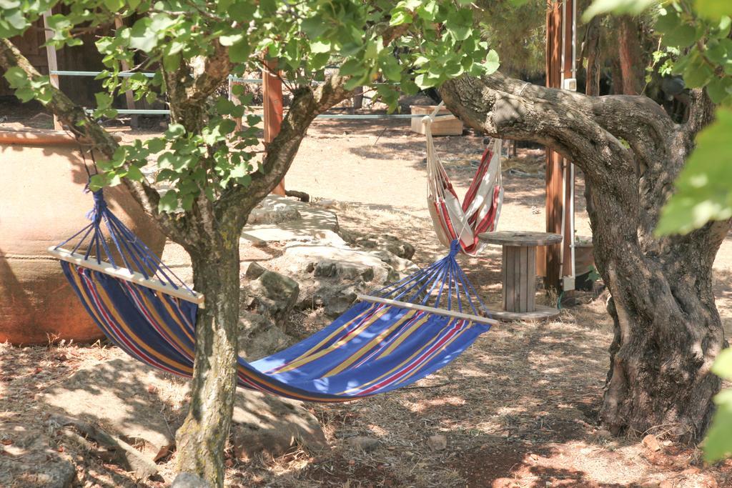 Back To Nature Camping & Huts Ξενοδοχείο Mikhmannim Δωμάτιο φωτογραφία