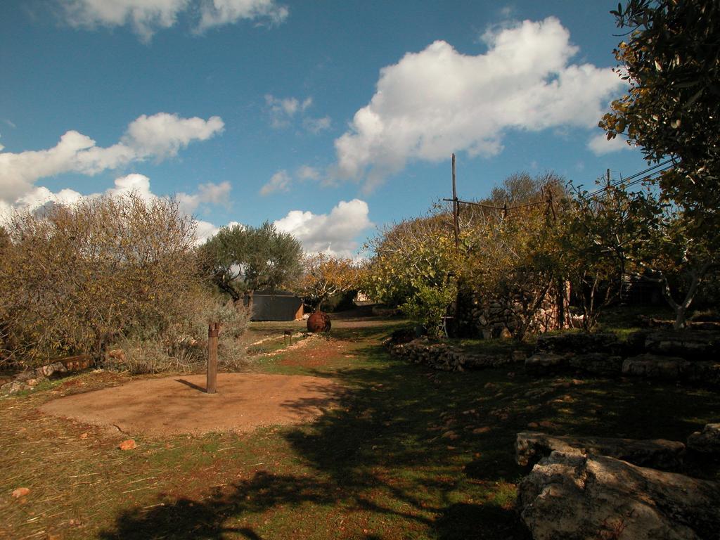 Back To Nature Camping & Huts Ξενοδοχείο Mikhmannim Δωμάτιο φωτογραφία