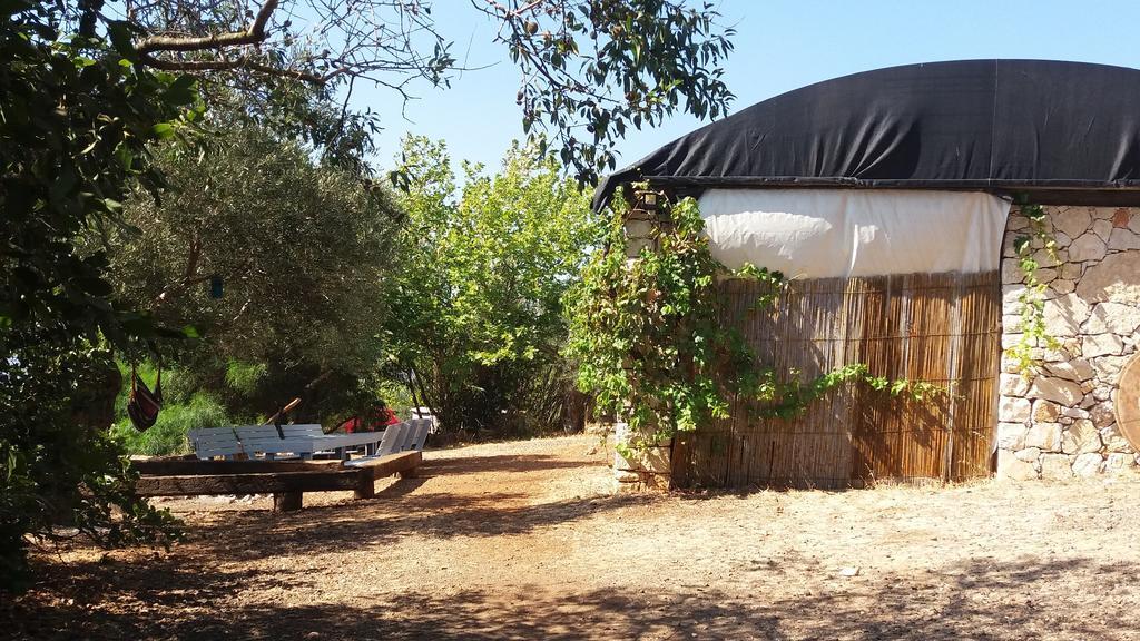 Back To Nature Camping & Huts Ξενοδοχείο Mikhmannim Εξωτερικό φωτογραφία